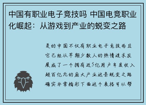 中国有职业电子竞技吗 中国电竞职业化崛起：从游戏到产业的蜕变之路
